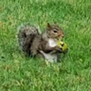 Meet your Posher, Kaleb